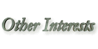 Other Interests